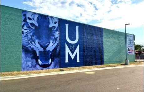 Vinyl Wall Wrap UM Tigers